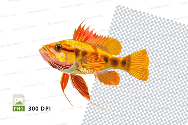 Fish Png Image 12