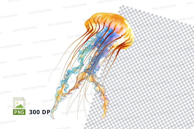Jellyfish Png Image 8