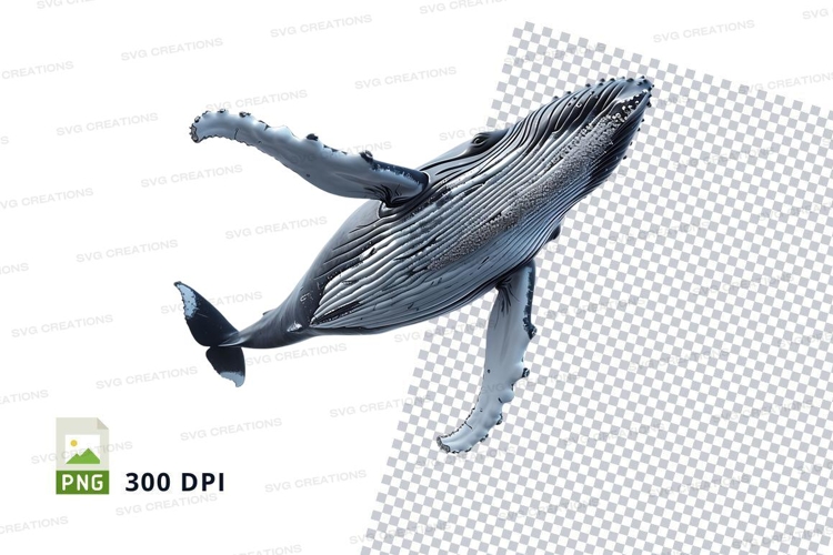 Whale clipart png
