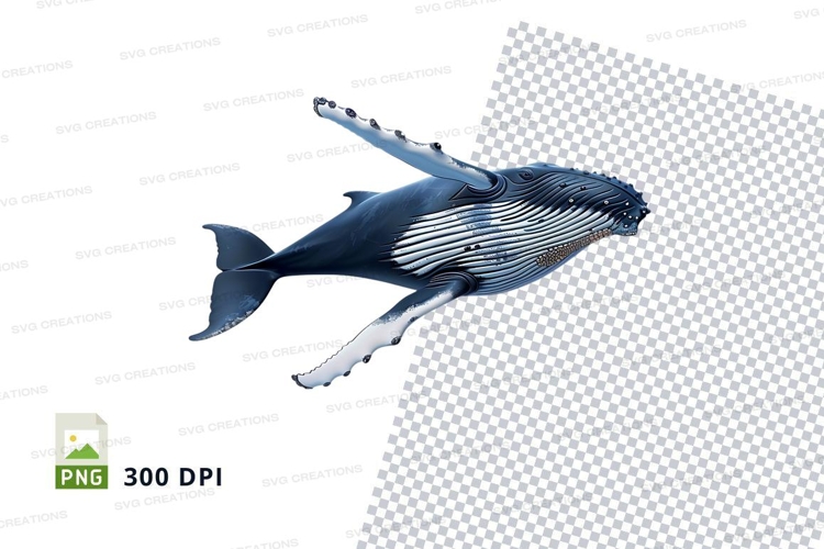 Humpback whale clipart png