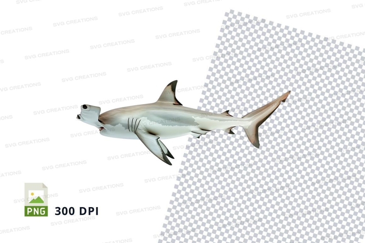 Hammerhead shark clipart png