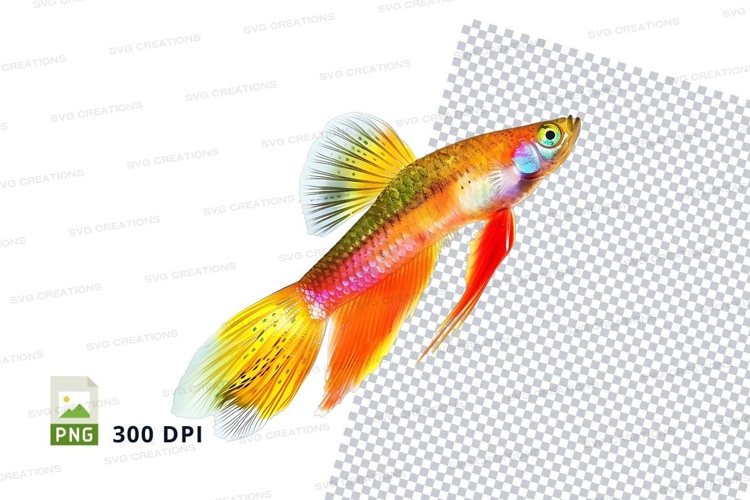 Fish Background Image 5