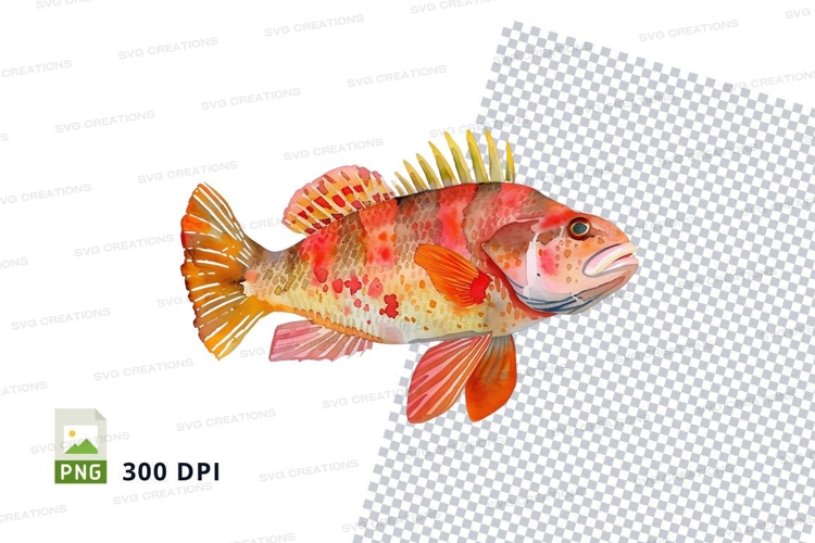 Marine Clipart Image 10