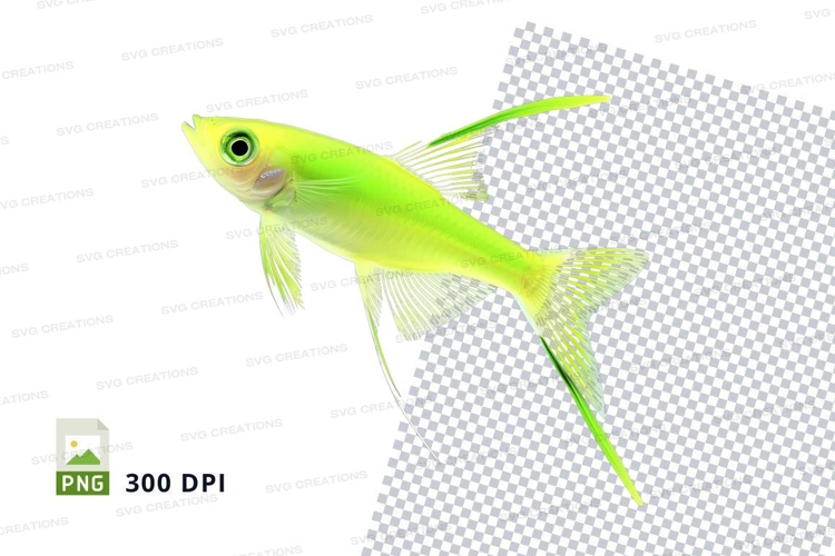 Nature Clipart Image 23