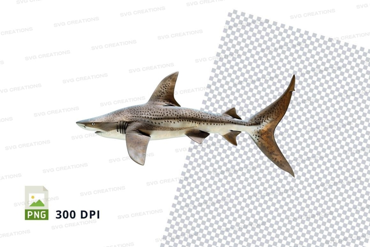 Marine Clipart Image 15