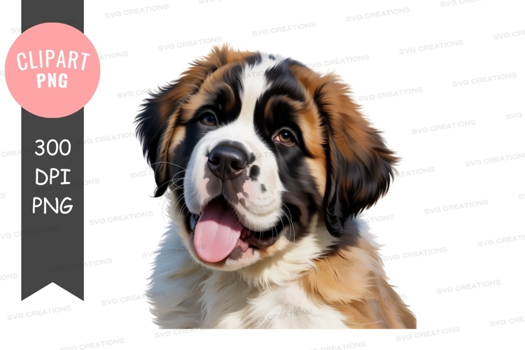 Happy saint bernard puppy