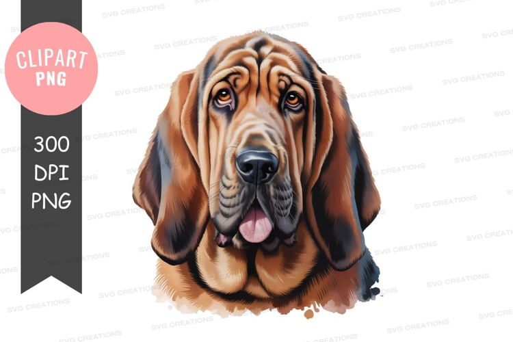Portrait of a bloodhound