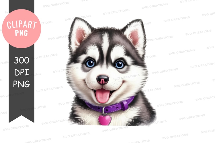 Happy siberian husky puppy