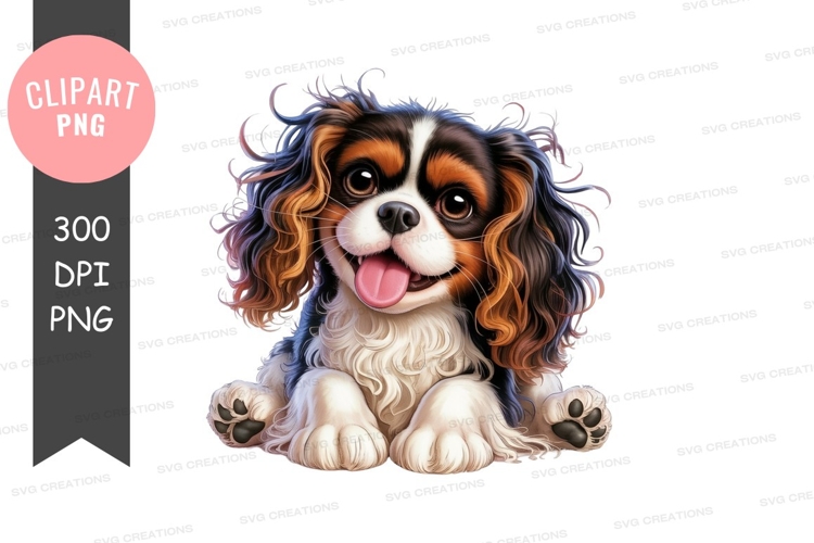 Playful cavalier king charles spaniel puppy