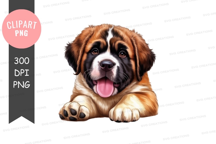 Playful st. bernard puppy clipart png
