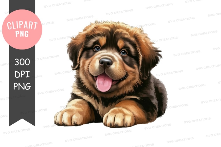 Looking Clipart Image 7