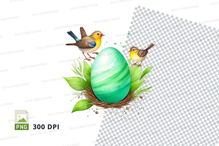 Springtime birds and eggs