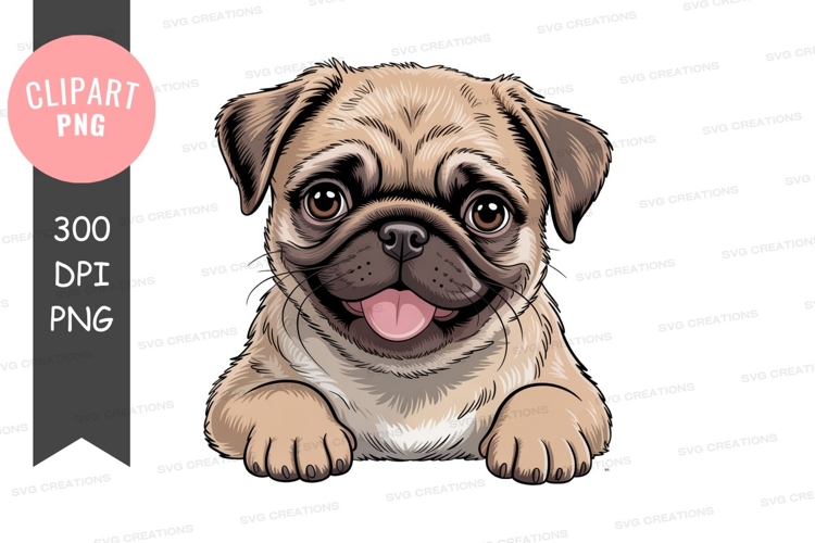 Pug Clipart Image 14