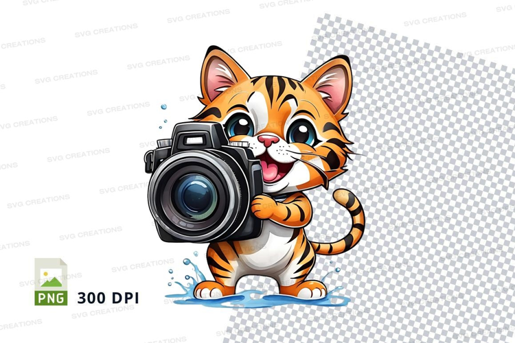 Playful tiger kitten with camera
