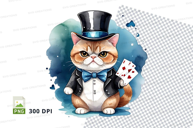 Magician cat