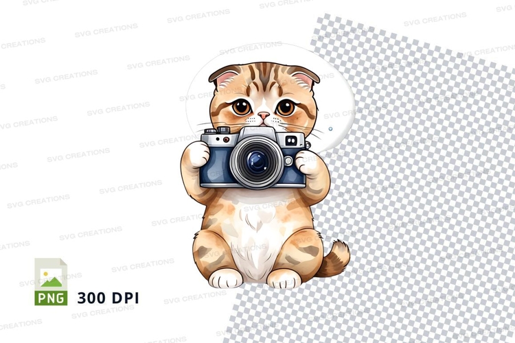 Cute cat with camera