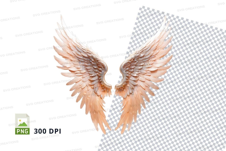 Wings Clipart Image 14