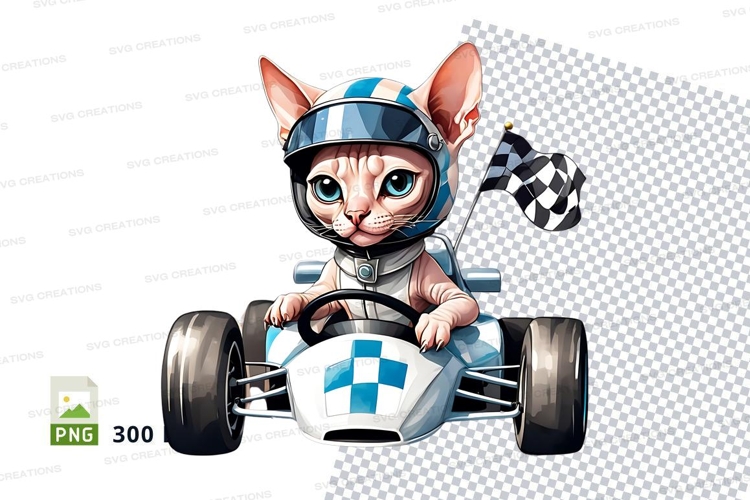 Cartoon cat in racing car clipart png