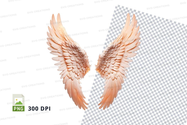 Wings Clipart Image 17
