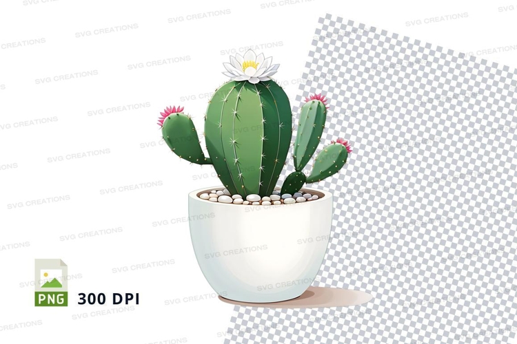 Cactus in white pot clipart png