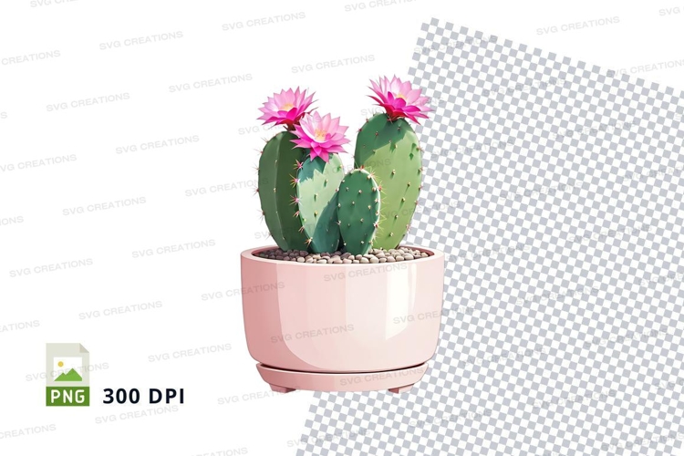 Cactus Png Image 18