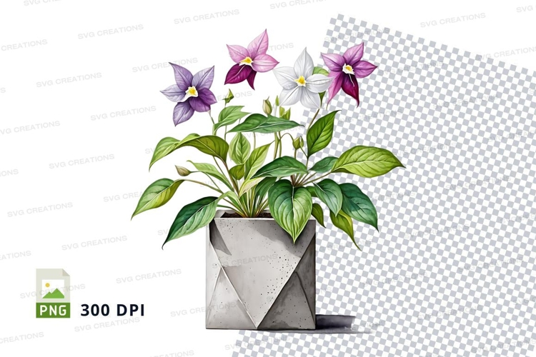Plant Png Image 16