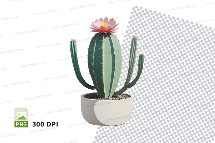 Cactus in pot clipart png