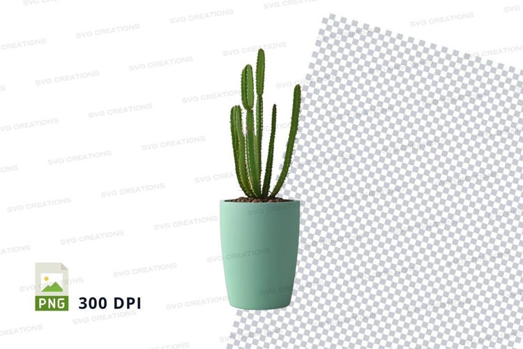 Plant Png Image 16