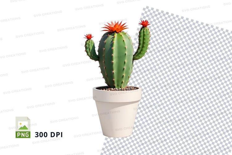 Plant Png Image 15