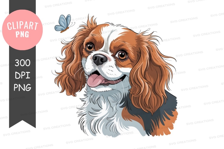 Happy cavalier king charles spaniel with butterfly