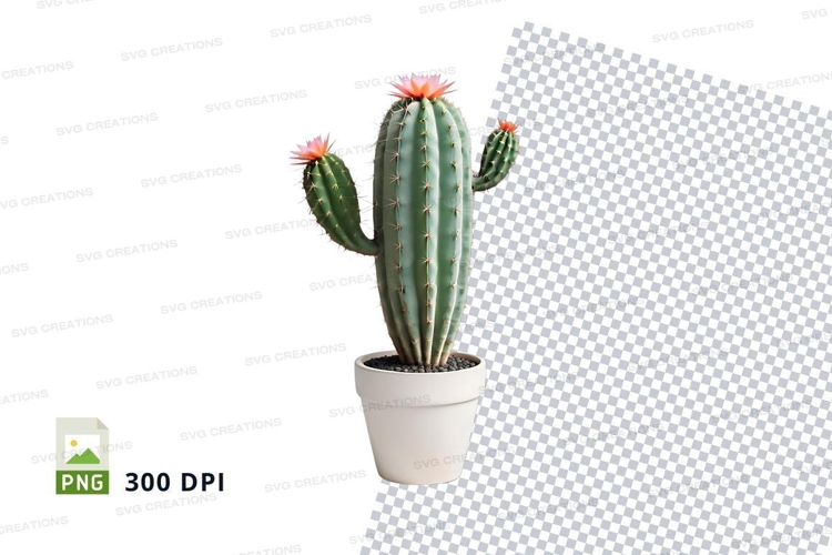 Plant Png Image 12