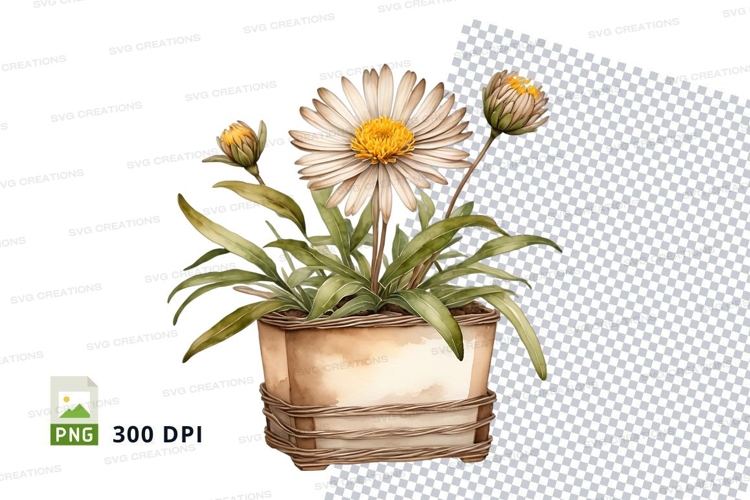 Plant Png Image 15