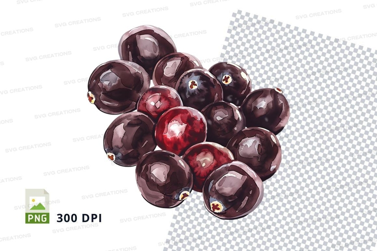 Fruit Clipart Image 23