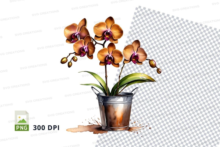 Orchid plant in pot clipart png