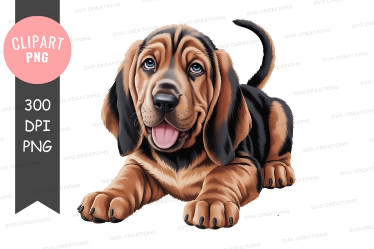 Sparkles Clipart Image 8