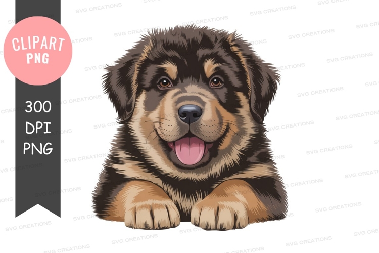 Umbrella Clipart Image 8