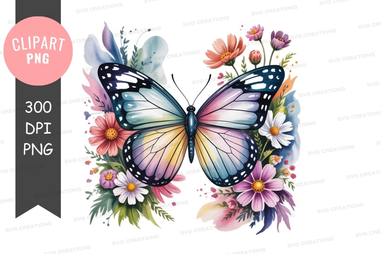 Hummingbird Illustration Image 5