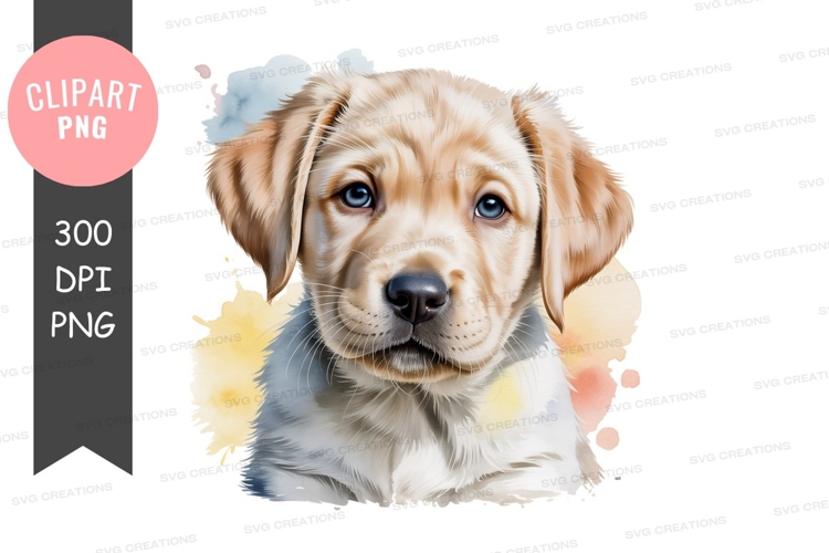 Transparent Wings Png Image 22