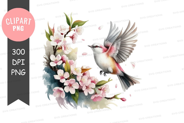 Bird amongst cherry blossoms
