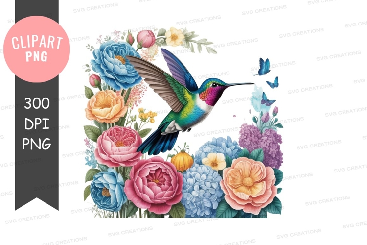 Hummingbird Illustration Image 23