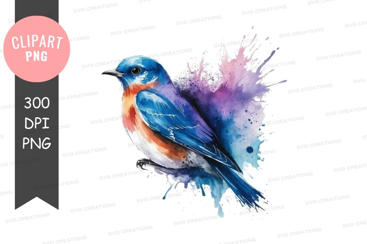 Vibrant bluebird clipart png