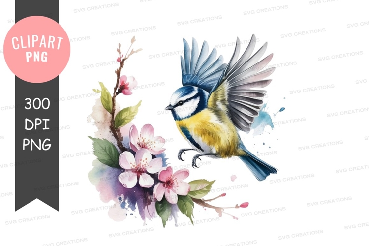 Blue tit bird on blossoming branch