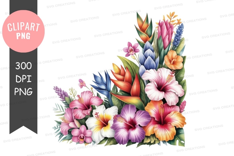 Orchids Png Image 24