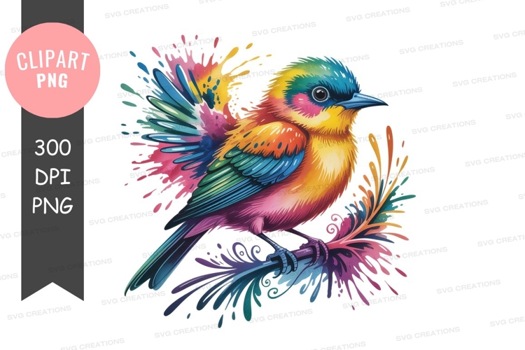 Feathers Png