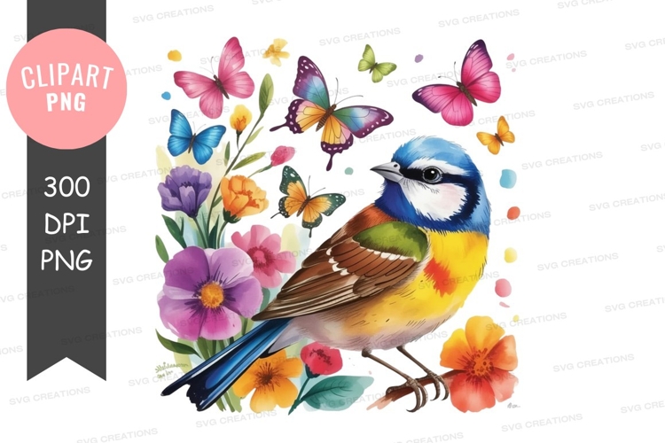 Feathers Clipart Image 14