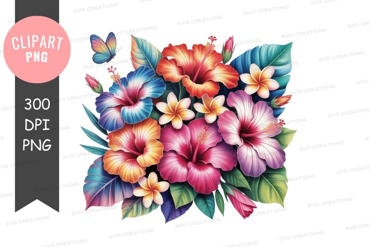 Hibiscus Illustration Image 24