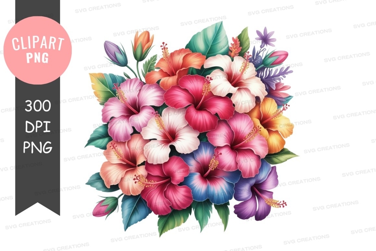 Hibiscus Illustration Image 16