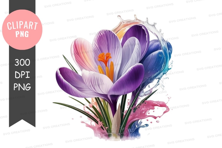 Vibrant crocus flowers with colorful paint splatter