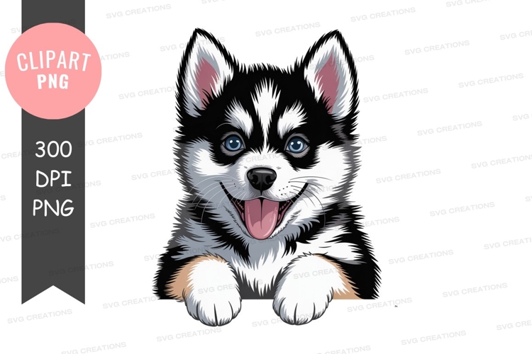 Husky Png Image 13