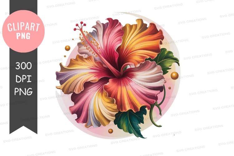 Hibiscus Illustration Image 12